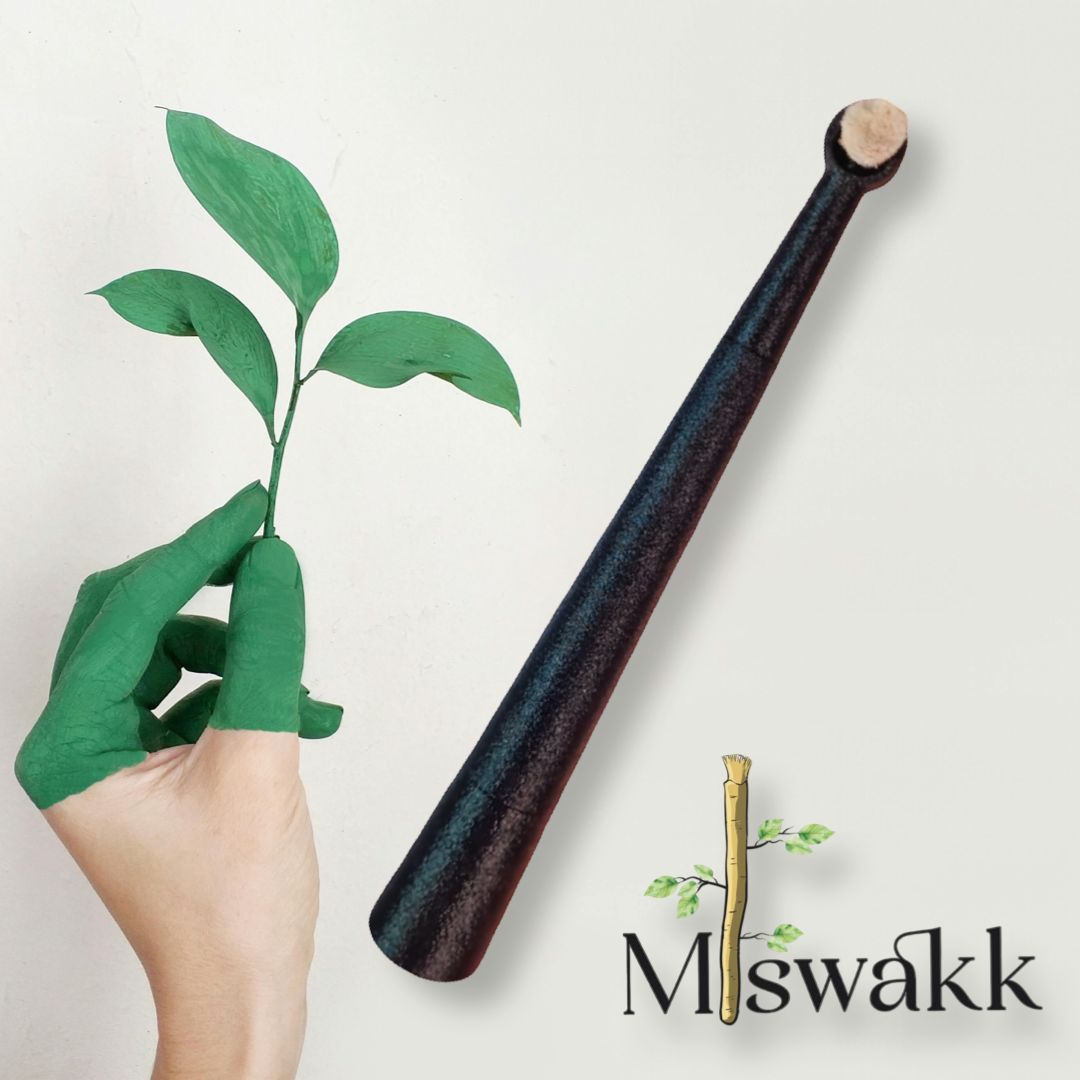 Miswakk toothbrush handle with built in storage device