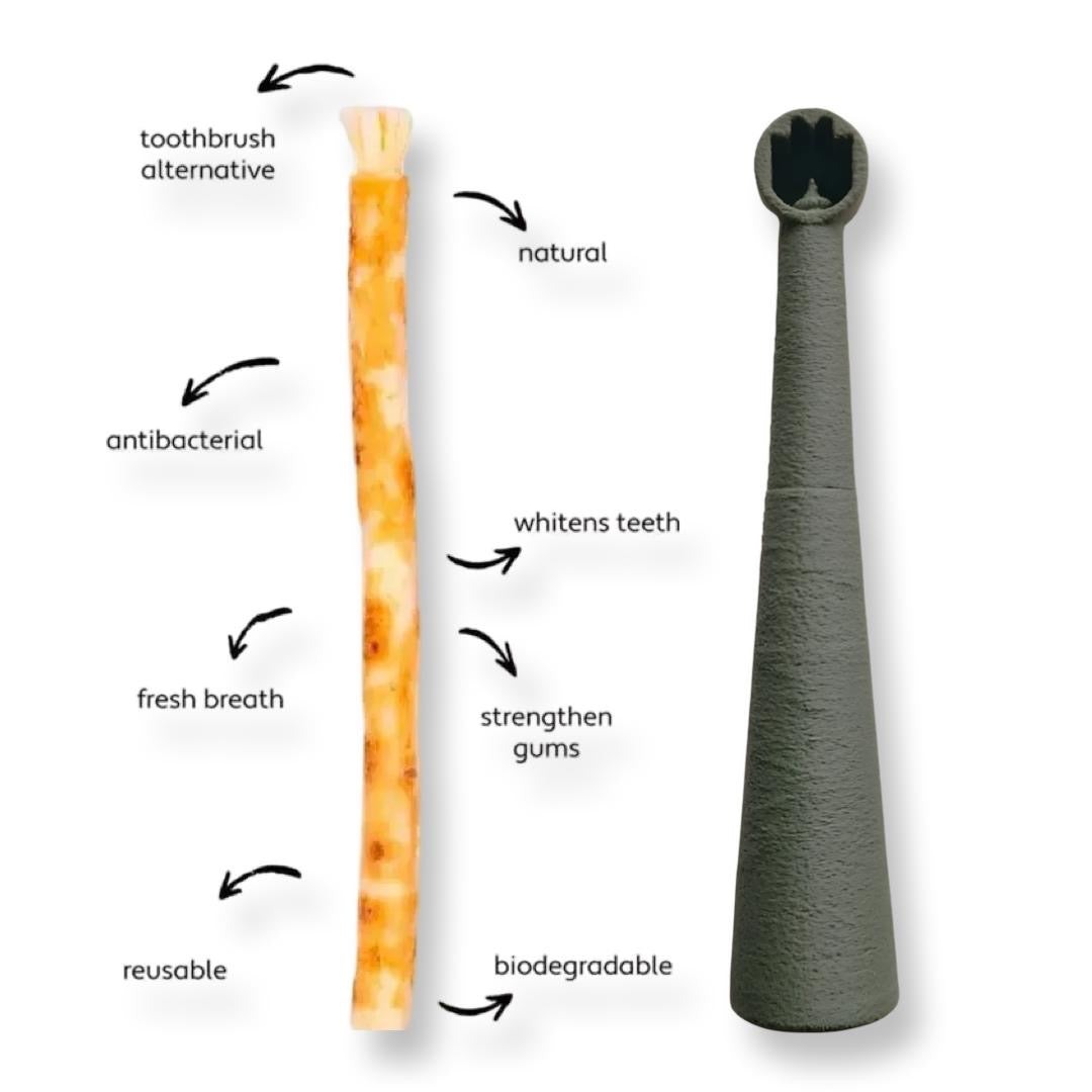 Miswakk toothbrush handle olive green